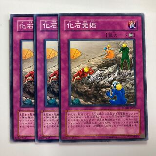 8428 Fossil Excavation $3002