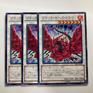 8437 Black Rose Dragon Normal JP009