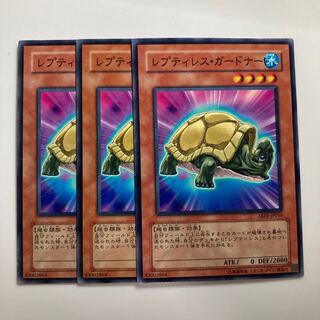 8440 レプティレス・ガードナー ノーマル JP016