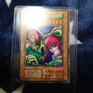 ハーピィレディ三姉妹 シークレット