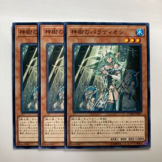 Crusadia Arboria $3050