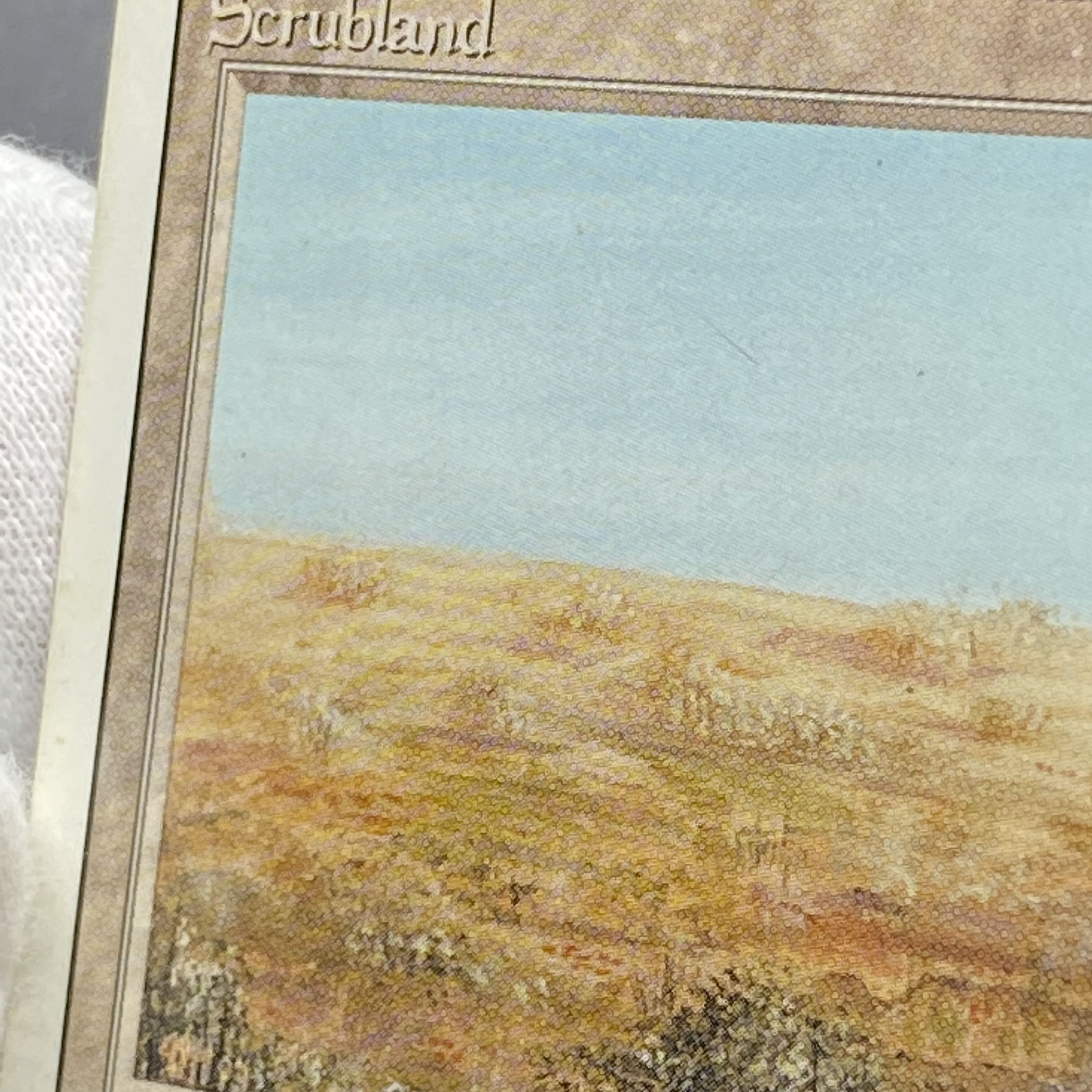 Scrubland 3ED R リバイズド 1枚