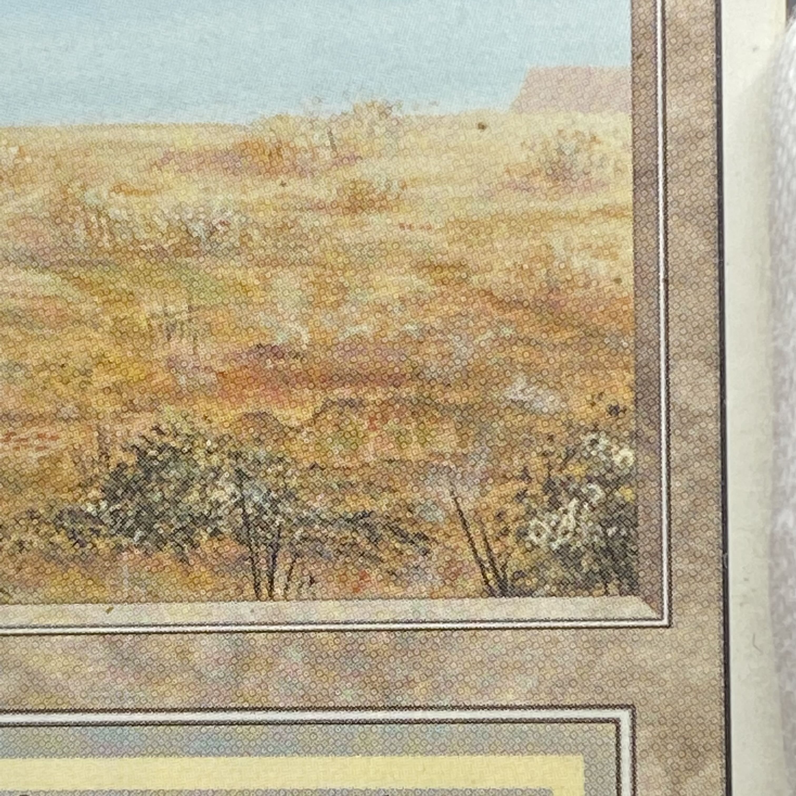 Scrubland 3ED R リバイズド 1枚