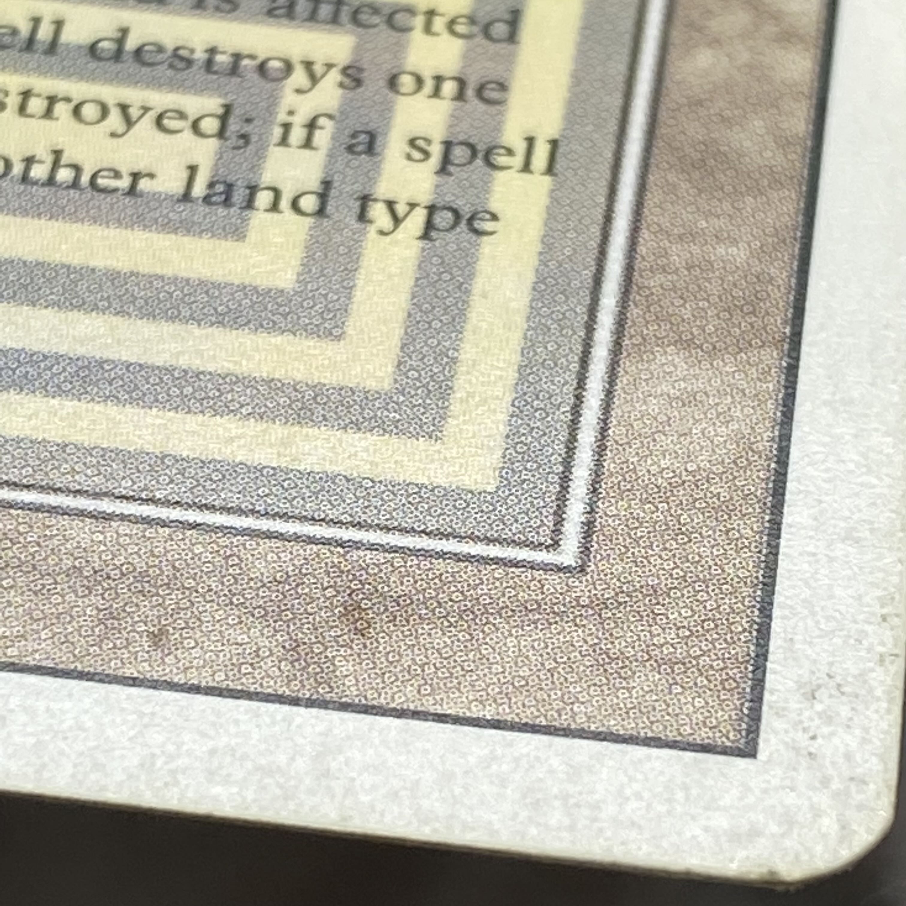 Scrubland 3ED R リバイズド 1枚