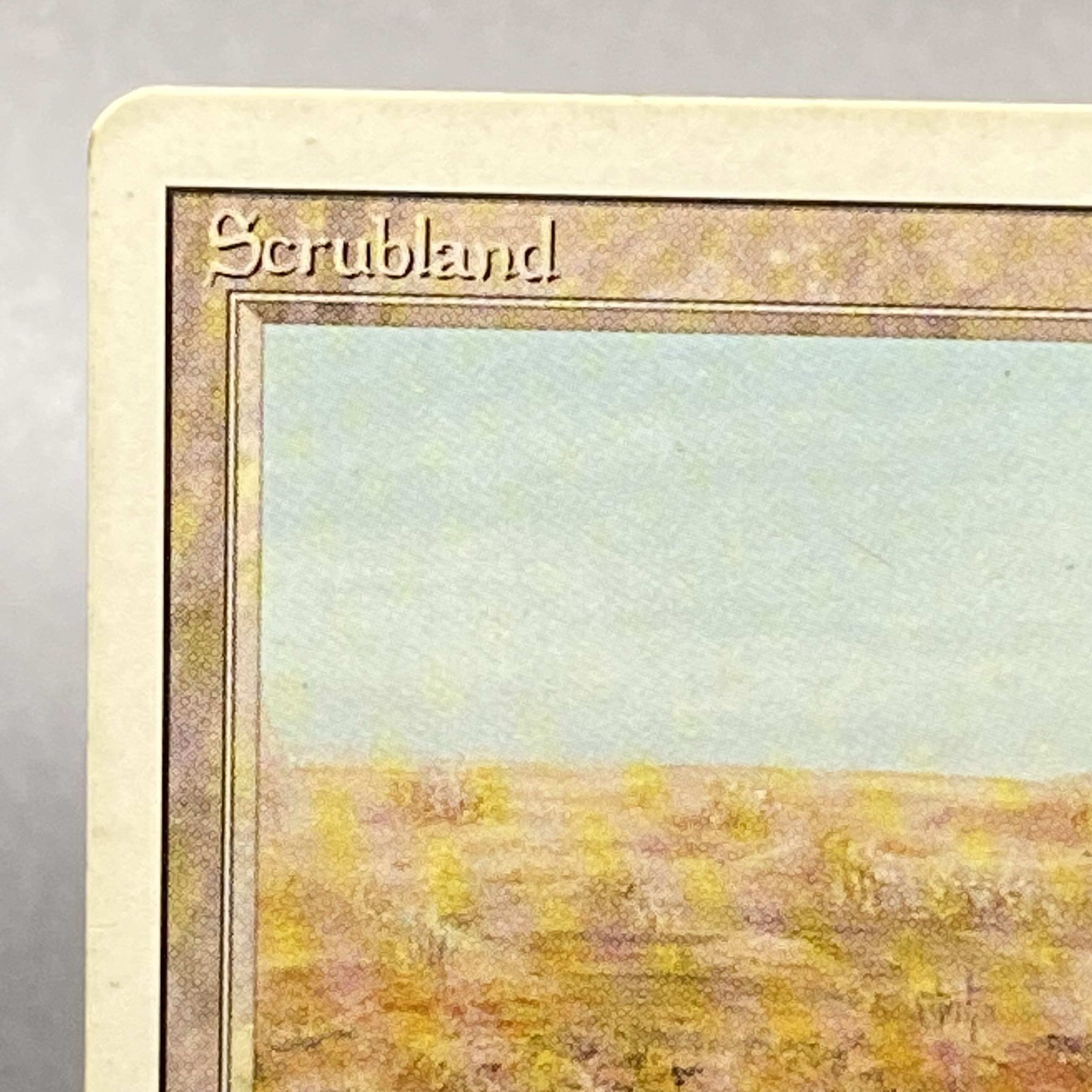 Scrubland 3ED R リバイズド 1枚