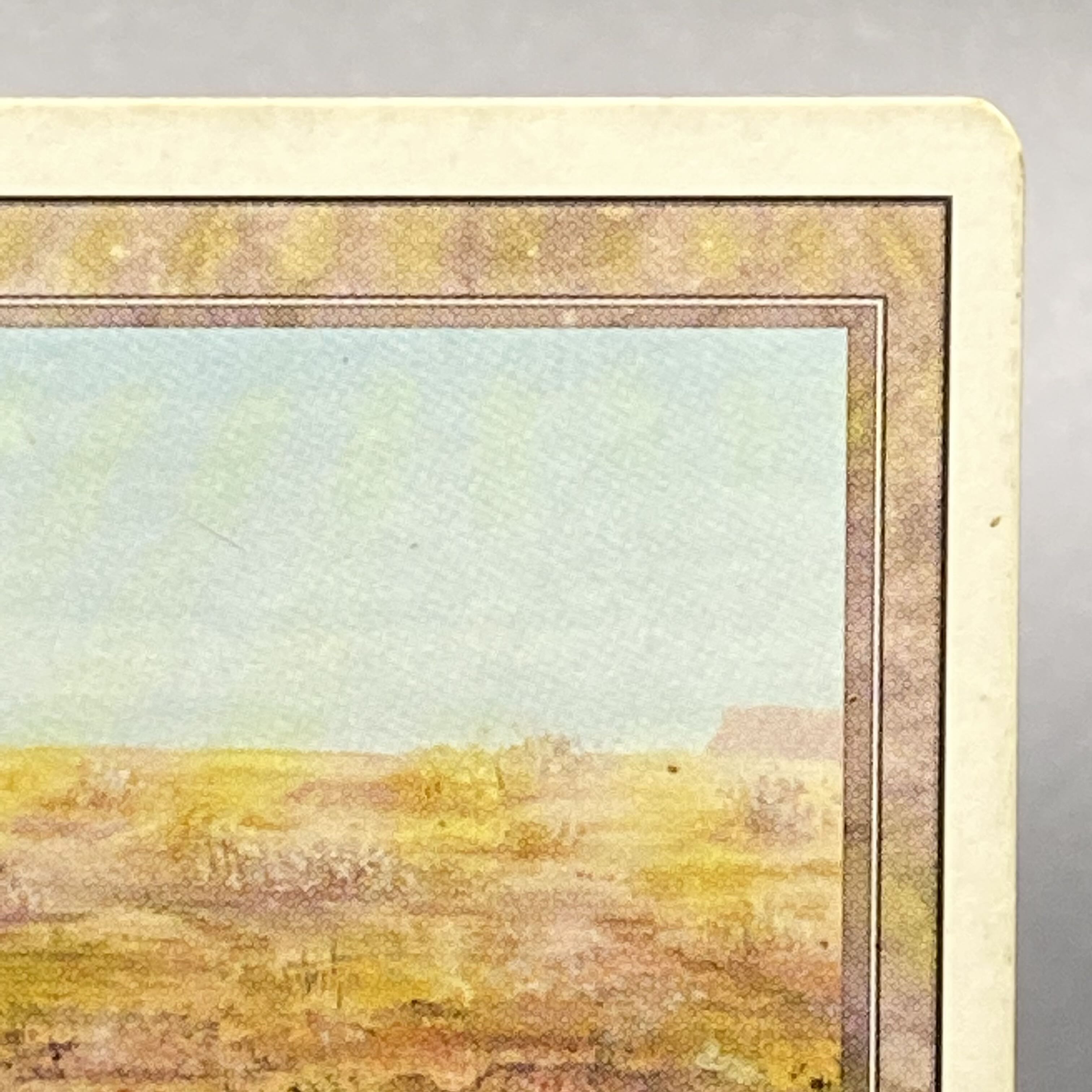 Scrubland 3ED R リバイズド 1枚