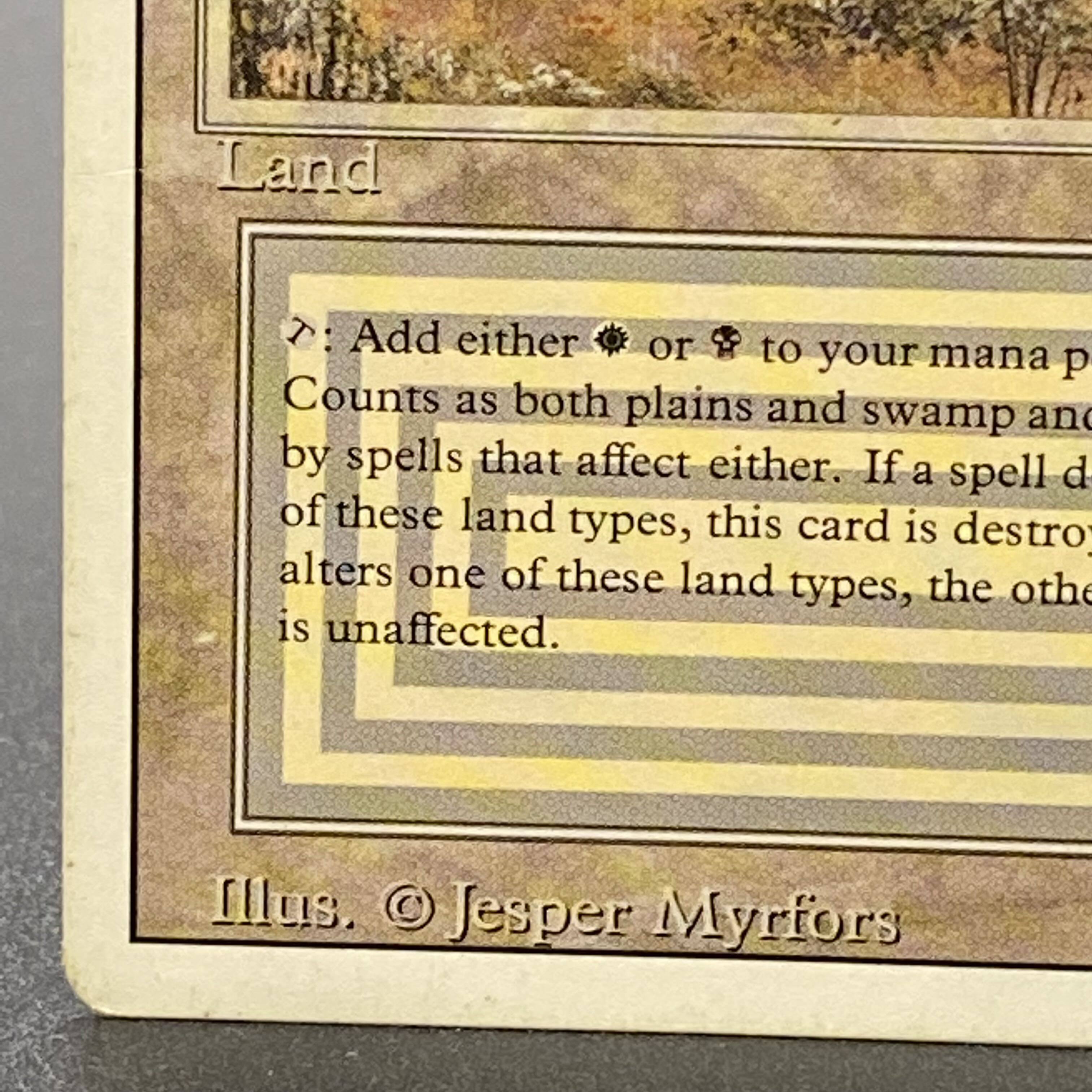 Scrubland 3ED R リバイズド 1枚