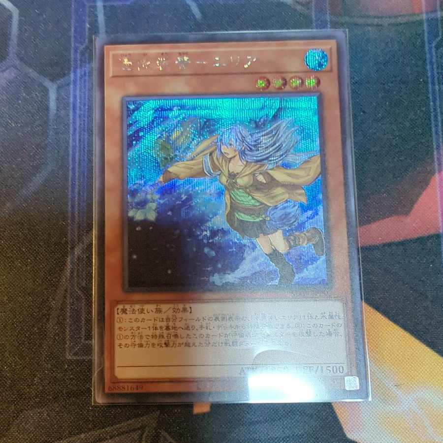 Possession-mounted - area secret, different picture JP087