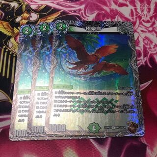 Birds of Paradise (Copper Treasure) R-foil TF12/TF20 22RP