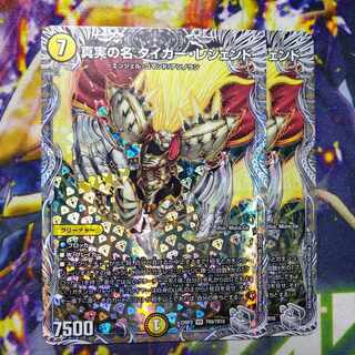 The True Name Tiger Legend (Silver Treasure) VR TR9/TR10