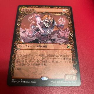 Reckless Stormseeker