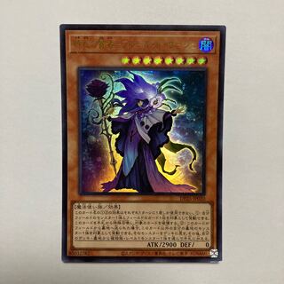 Sage of Time Flower - Fleur de Sage Ultra Rare JP020