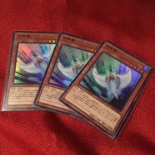 白棘鱏　ホワイトスティングレイ　スーパー3枚セット