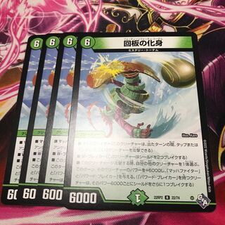 Incarnation of a palindrome R 22/74 22RP