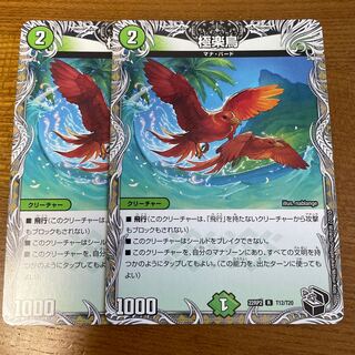Birds of Paradise (Black Treasure) R T12/T20