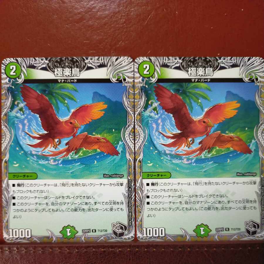 gnr set discount Birds of Paradise (Black Treasure) R T12/T20