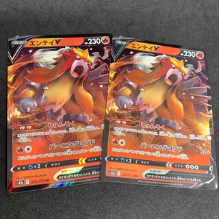 EnteiV RR 019/172 [VSTAR Universe].