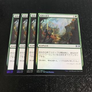 荒野の再生　foil 4枚セット