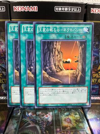 Yu-Gi-Oh Studio 1631 Valley of the Kings Sleeps - Necro Valley 3 normal