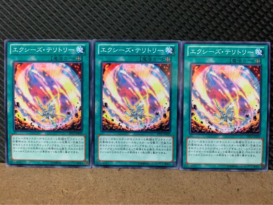 【ぽぽたん】遊戯王 7987 エクシーズ・テリトリー 3枚 ノーマル