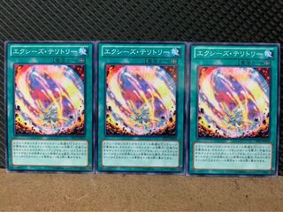 【ぽぽたん】遊戯王 7987 エクシーズ・テリトリー 3枚 ノーマル
