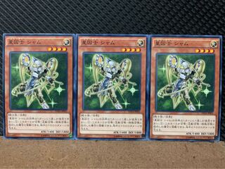 【ぽぽたん】遊戯王 8703 星因士 シャム 3枚 ノーマル