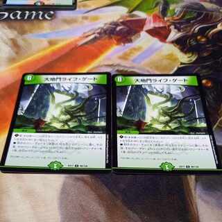 Daichimon Life Gate U 98/138