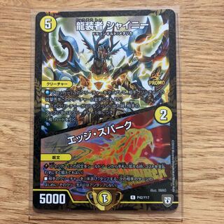 Shiny, the dragon-wearer｜Edge Spark