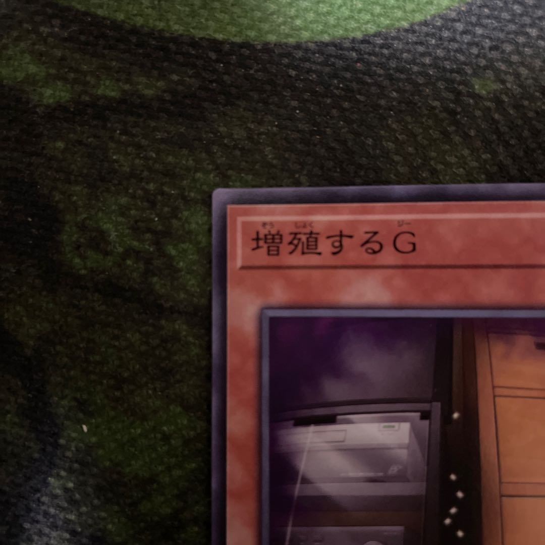 Maxx "C" Normal JP014