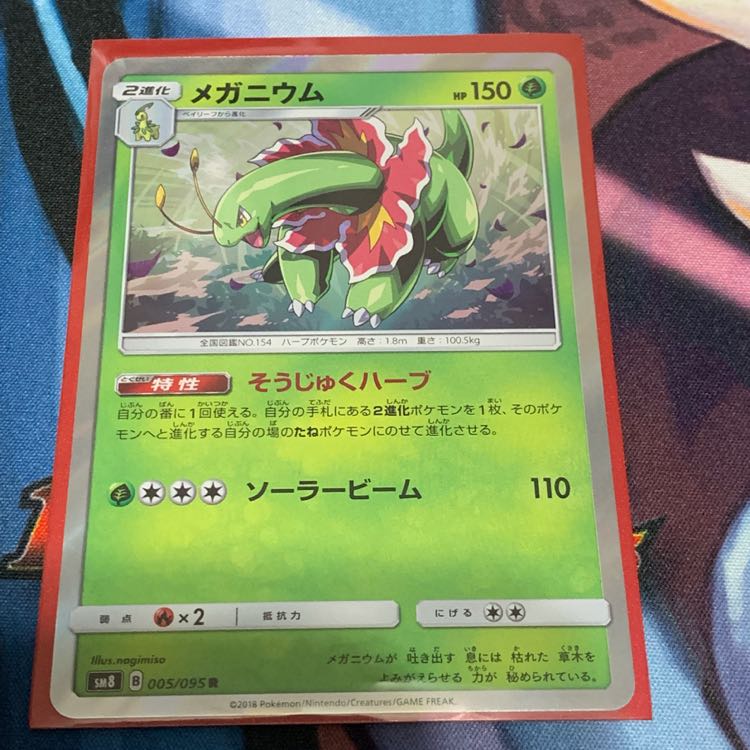 メガニウム そうじゅくハーブ