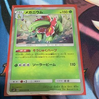 メガニウム そうじゅくハーブ