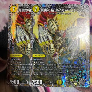 The True Name Tiger Legend (Silver Treasure) 2 VRs