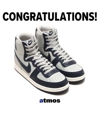 ナイキ ターミネーター ハイ "ジョージタウン" ジョージタウン/グラニット/ダークオブシディアン(2022) FB1832-001 28cm