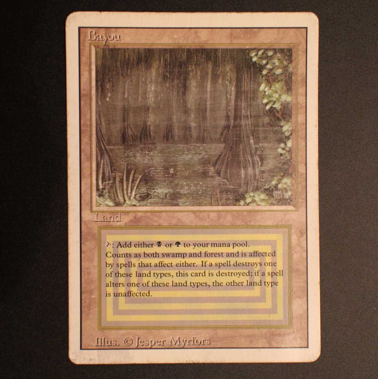 3ED【bayou】英語