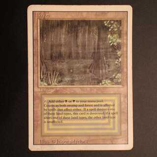 3ED【bayou】英語