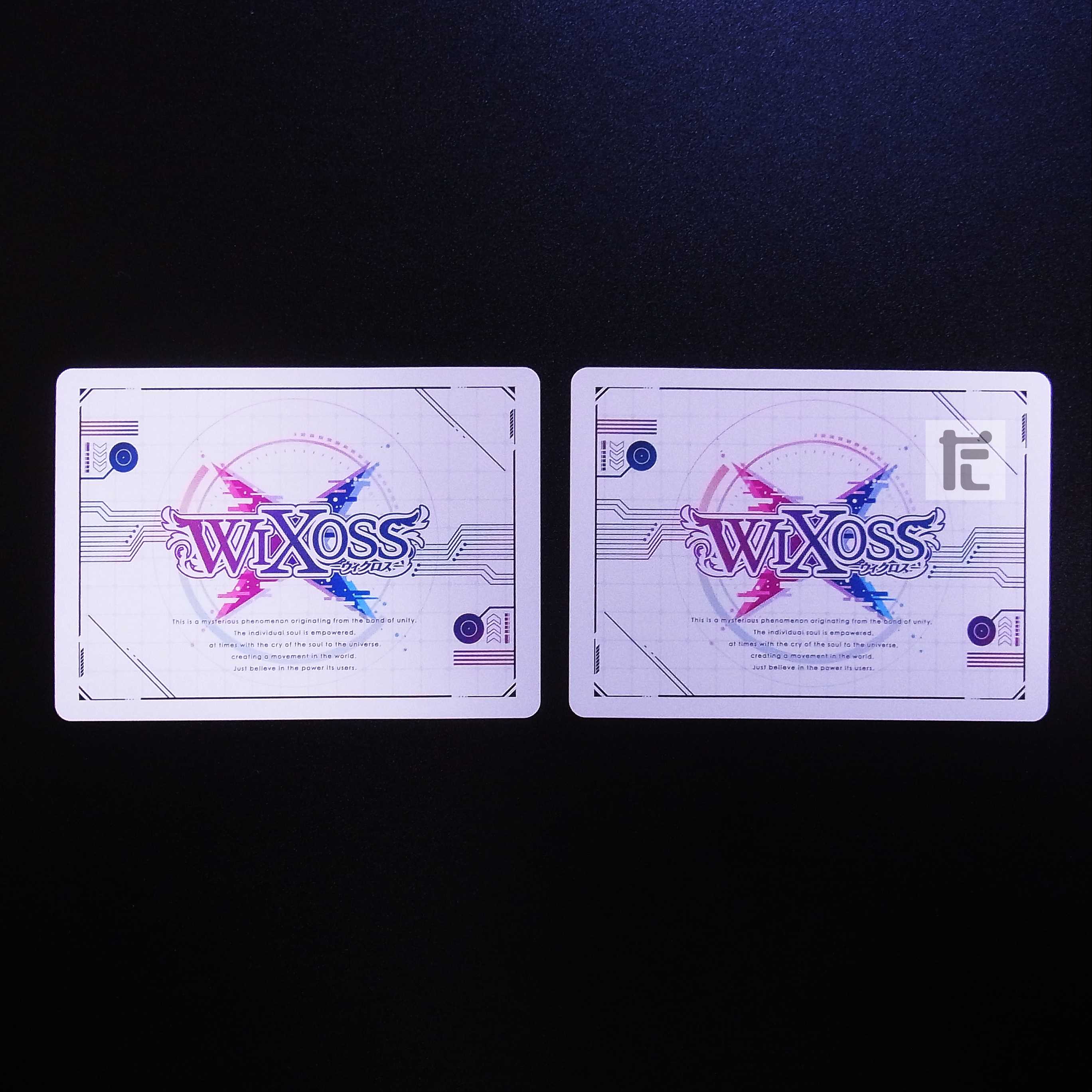 アグレッシブな夜 LR 2枚セット/管理:MS0286