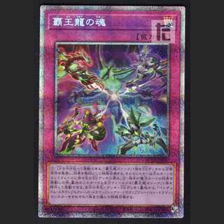 Soul of the High Dragon [Nia] Prismatic Secret / Management:MY0661