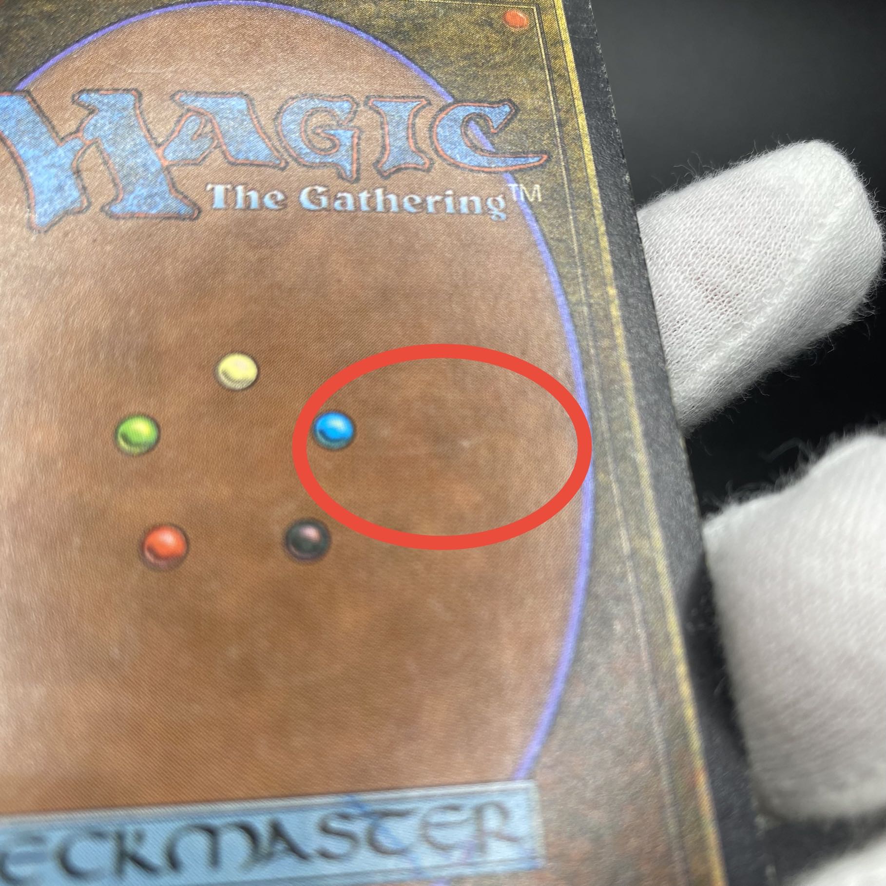 Bazaar of Baghdad ANR EN signed