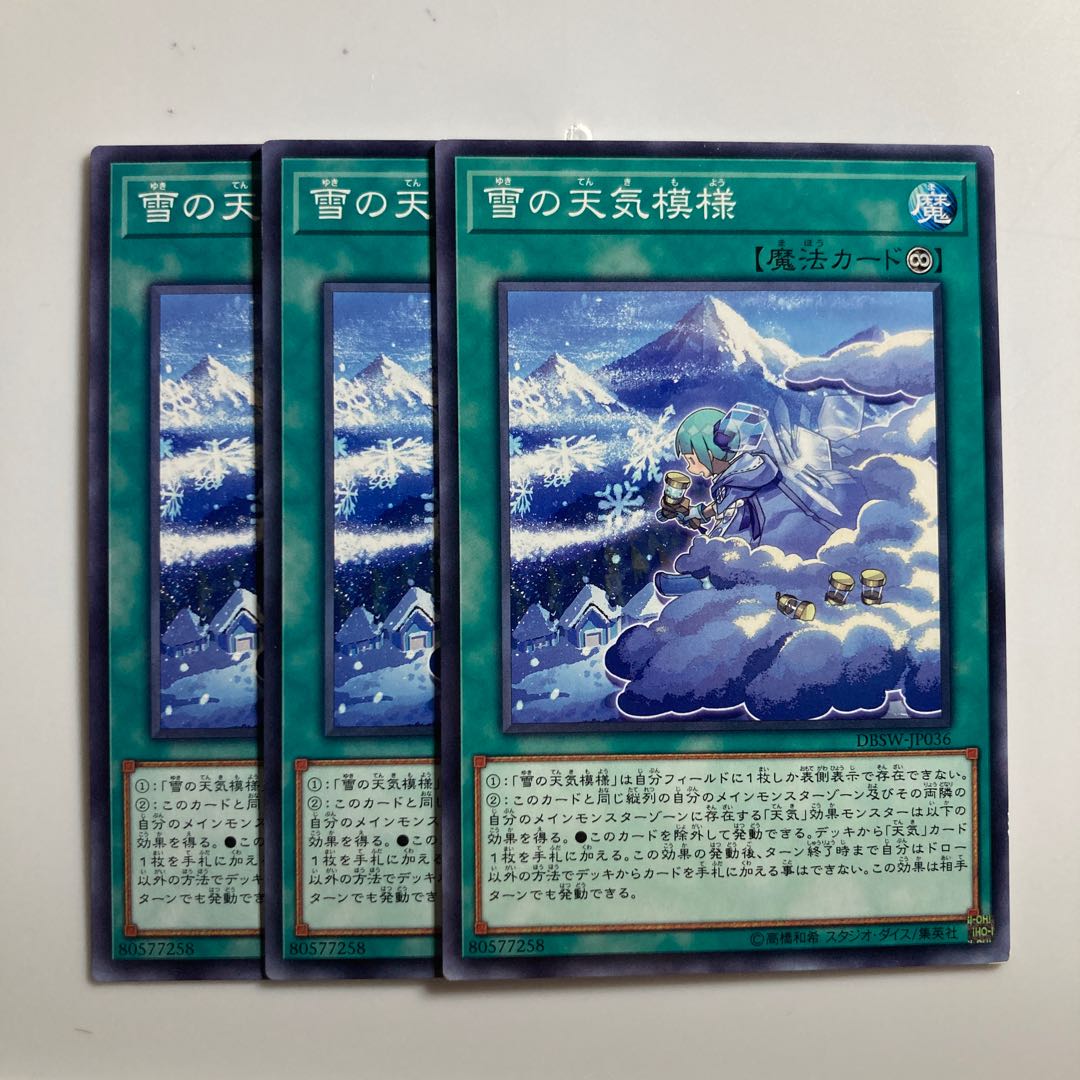 8463 The Weather Snowy Canvas $3067