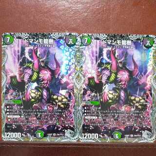 gnrセット割引　ドマンモ龍樹(銀トレジャー) SR TR8/TR10