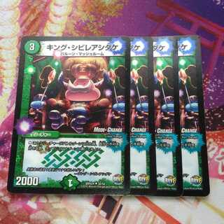 キングシビレアシダケ