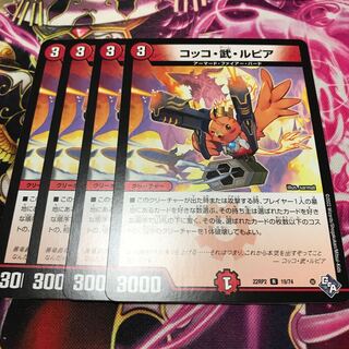 Cocco Bu Lupia R 19/74 22RP