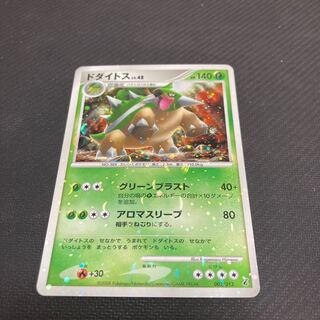 Torterra LV.48