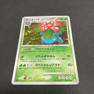 Venusaur LV.55