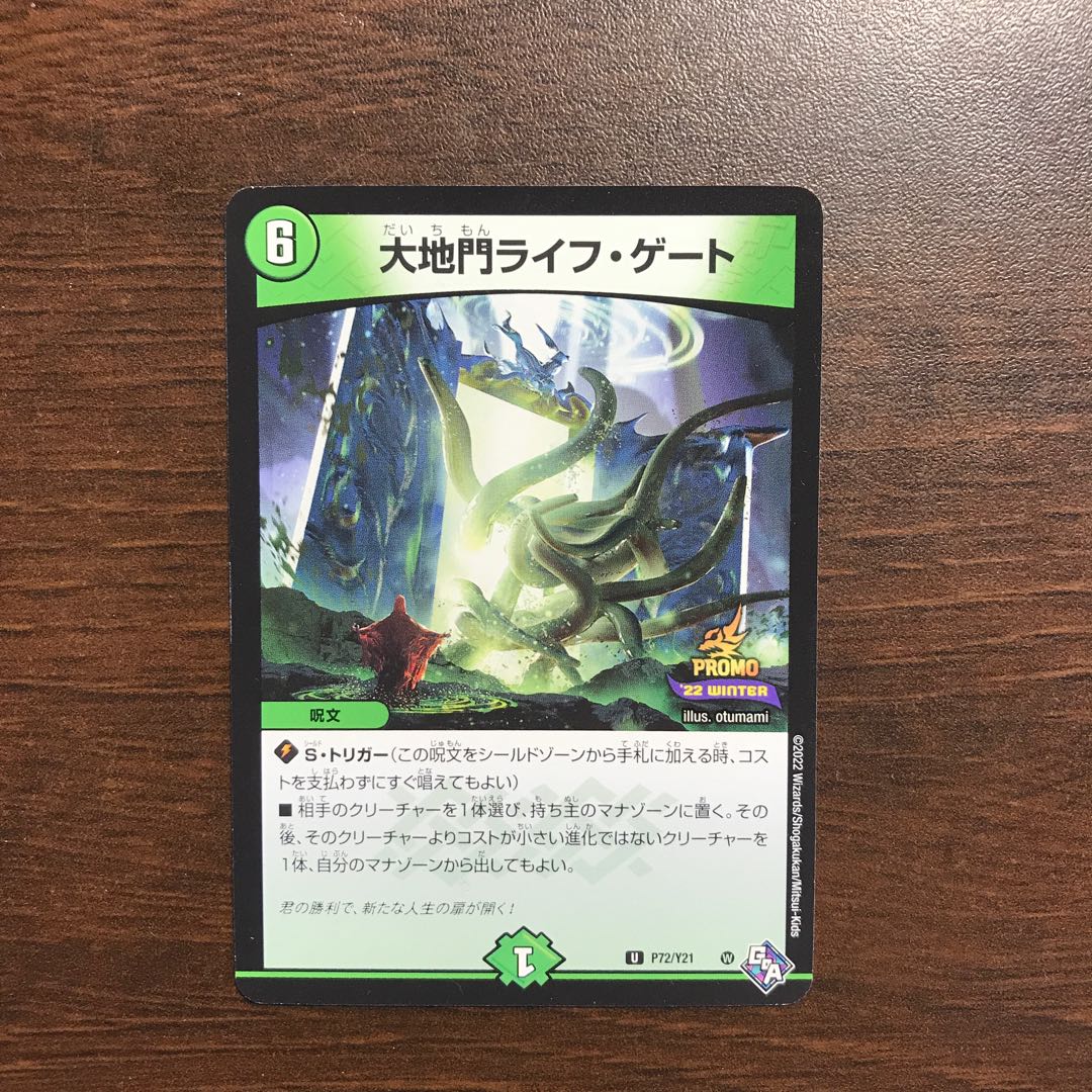 Large Gate Life Gate