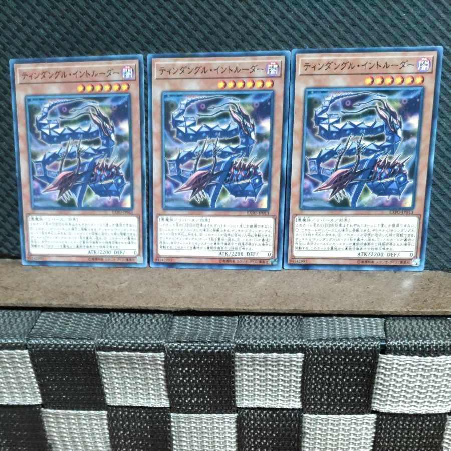 【ぽぽたん】遊戯王 #489 ティンダングル・イントルーダー 3枚 ノーマル