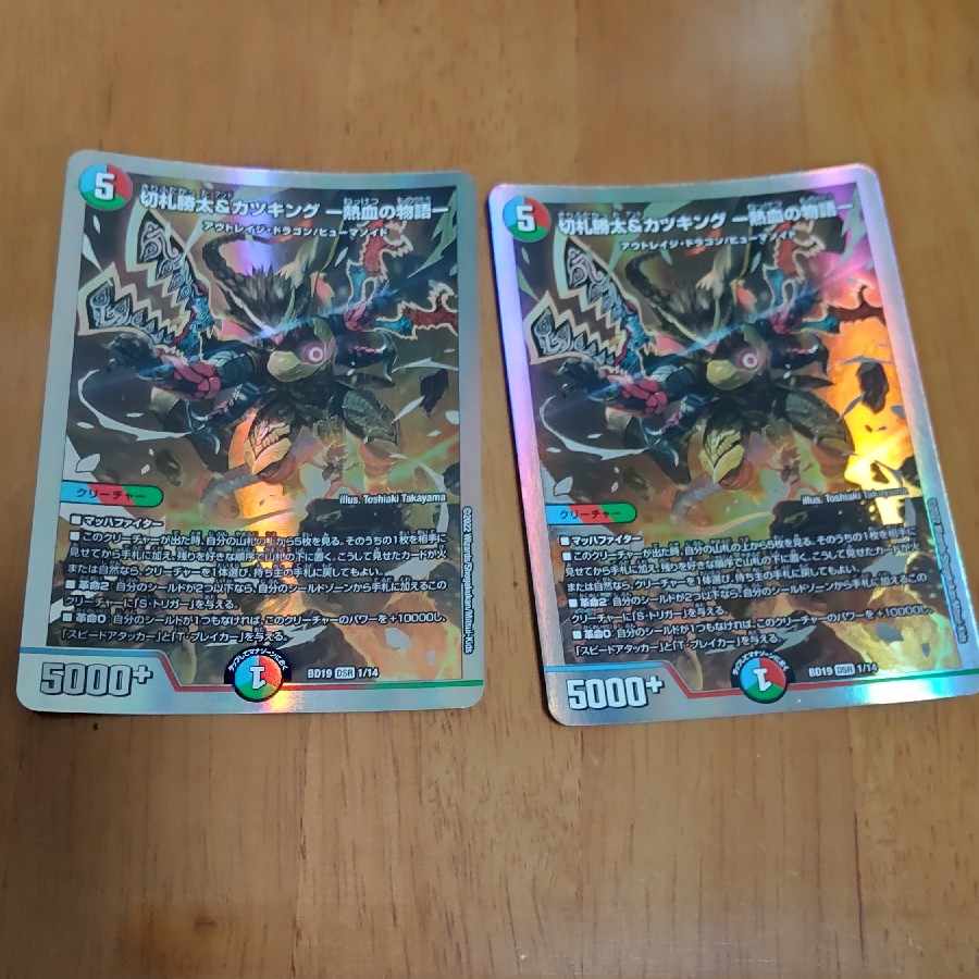 切札勝太&カツキング -熱血の物語- DSR 1/14