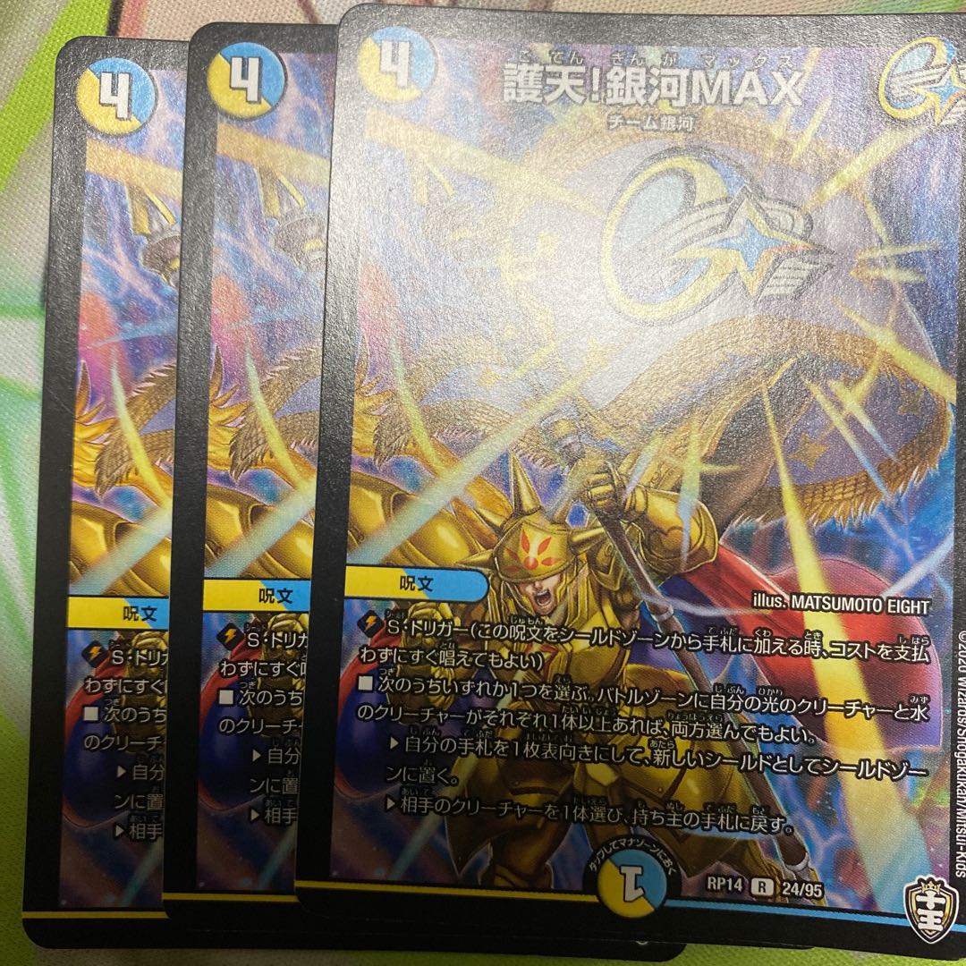 Proten! Ginga MAX R 24/95