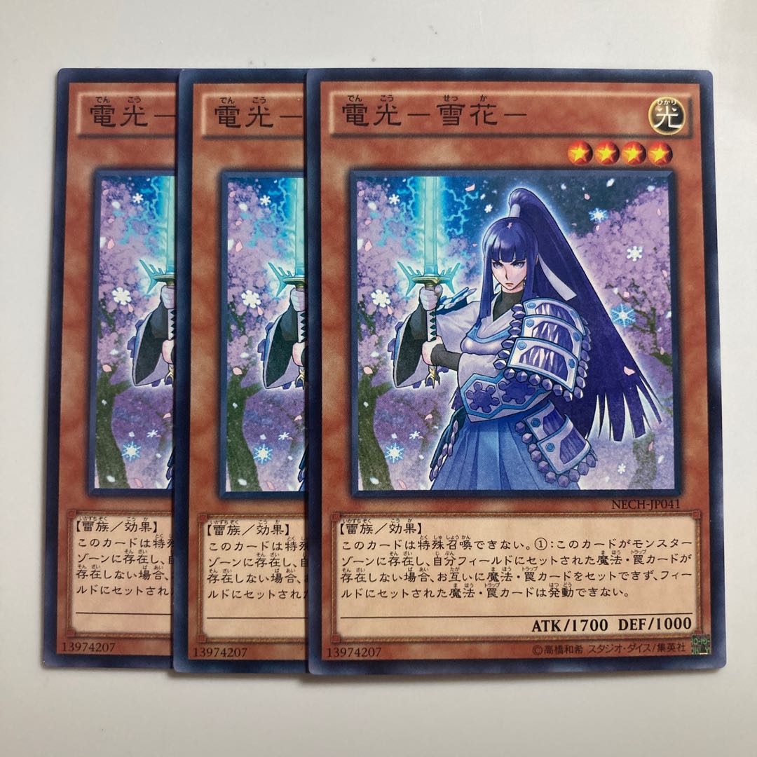 8513 電光-雪花- ノーマル JP041