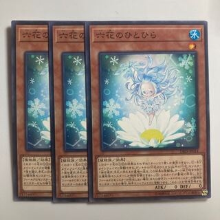 8519 Rikka Petal $3170